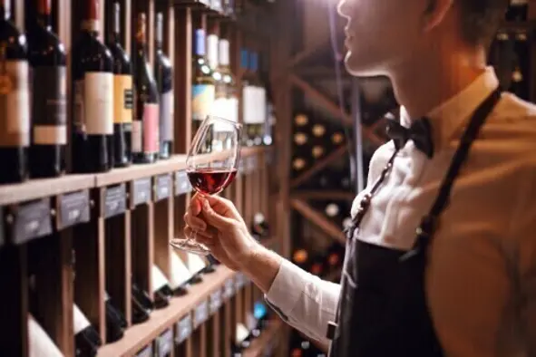 Algarve's Wine Cellar Tour: Indulge in Regional Products Tasting at Vineyards